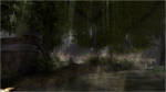 Swamp