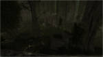 Swamp